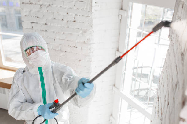 Best Post-Construction Mold Inspection  in Spanish Fort, AL