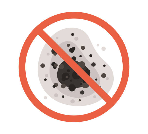 Best Biohazard Mold Removal  in Spanish Fort, AL